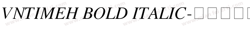 VnTimeH Bold Italic字体转换